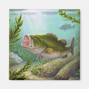 Aimant Poisson basse