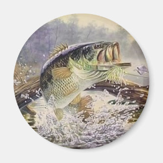 Aimant poisson basse