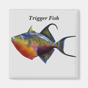 Aimant Poisson de déclenchement