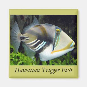 Aimant Poisson de l'État d'Hawaii