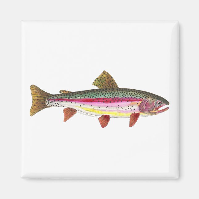 Aimant Poisson de truite arc-en-ciel (Devant)