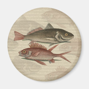 Aimant Poisson Perche rouge Art pêcheur