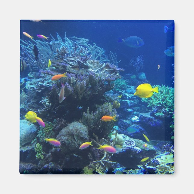 Aimant Poisson Tropical Jaune (Devant)