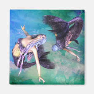 Aimant Poissons