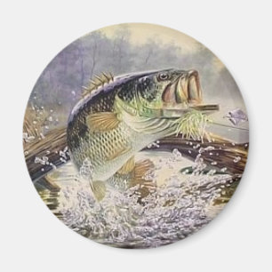 Aimant poissons bas