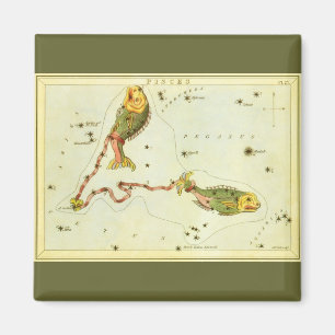 Aimant Poissons, Constellation Vintage Urania's Mirror