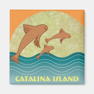 Aimant Poissons de vol de Catalina