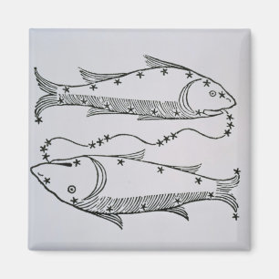 Aimant Poissons (les poissons) une illustration du 'poèt