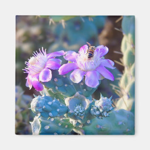 Aimant Pollinisateur à fleurs du désert