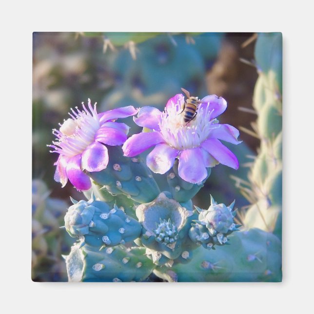 Aimant Pollinisateur à fleurs du désert (Devant)