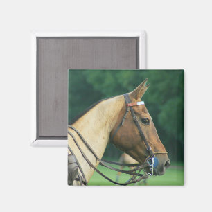 Aimant Polo Pony
