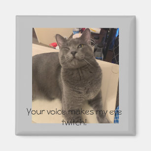 Aimant Polo the cat  "Your voice makes my eye twitch!