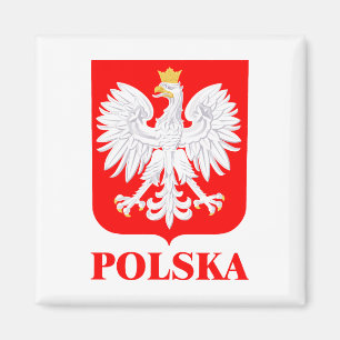 Aimant Polska 2