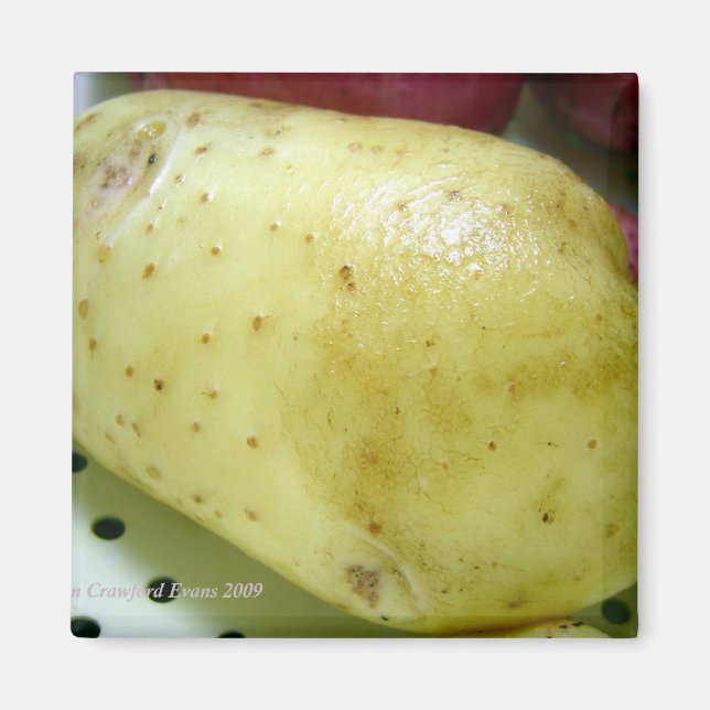 Aimant Pomme de terre d'or du Yukon (Devant)