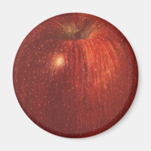 Aimant Pomme rouge délicieuse biologique, fruit alimentai