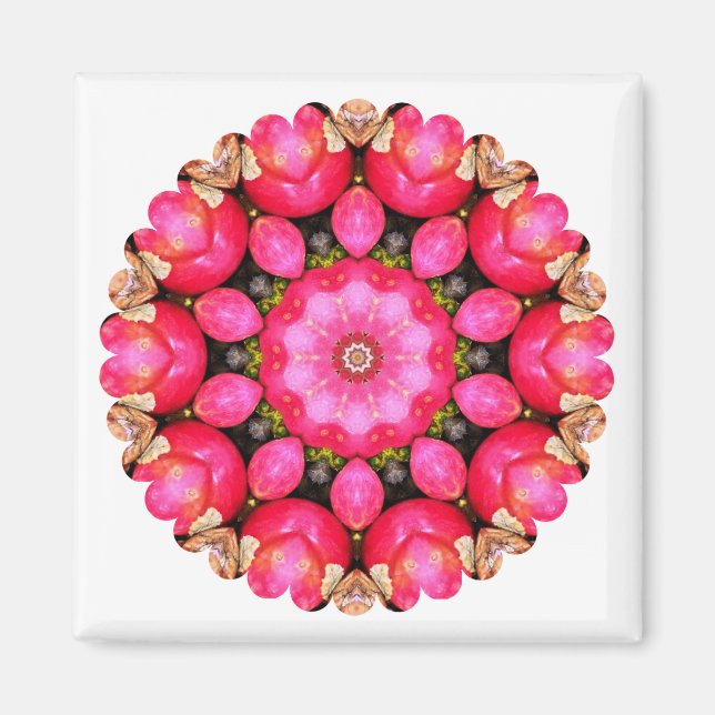 AIMANT POMMES (Devant)