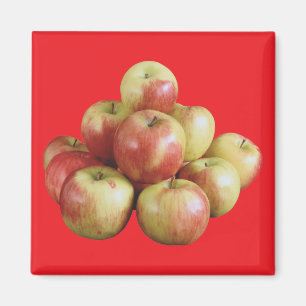 Aimant Pommes de Mcintosh