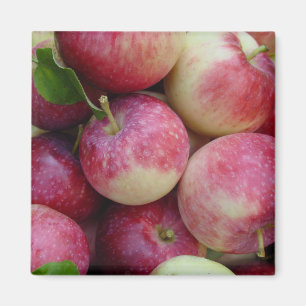 Aimant Pommes de neige