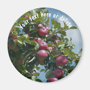 Aimant Pommes Rouges Sur La Nature De L'Arbre Personnalis