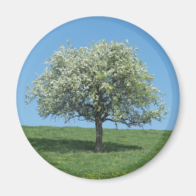 Aimant pommier (Devant)