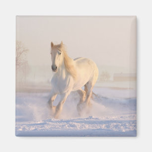 Aimant Poney de la ferme équestre de l'Ouest