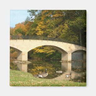 Aimant Pont arc-en-ciel en automne au Grove City College