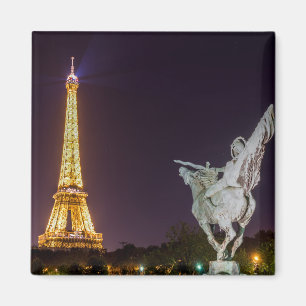Aimant Pont de Bir-Hakeim at night - Paris, France