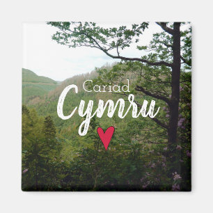 Aimant Pont des diables paysagers de Cariad Cymru Wales H