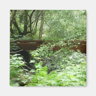 Aimant Pont Muir Woods I