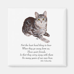 Aimant Pont Rainbow Tabby Cat