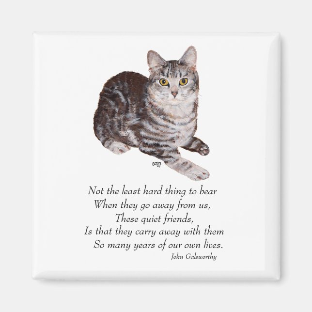 Aimant Pont Rainbow Tabby Cat (Devant)
