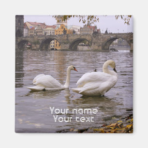 Aimant Pont Swans et Charles à Prague