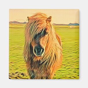 Aimant Pony