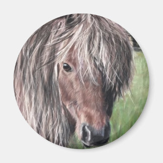 Aimant Pony de Shetland mignon