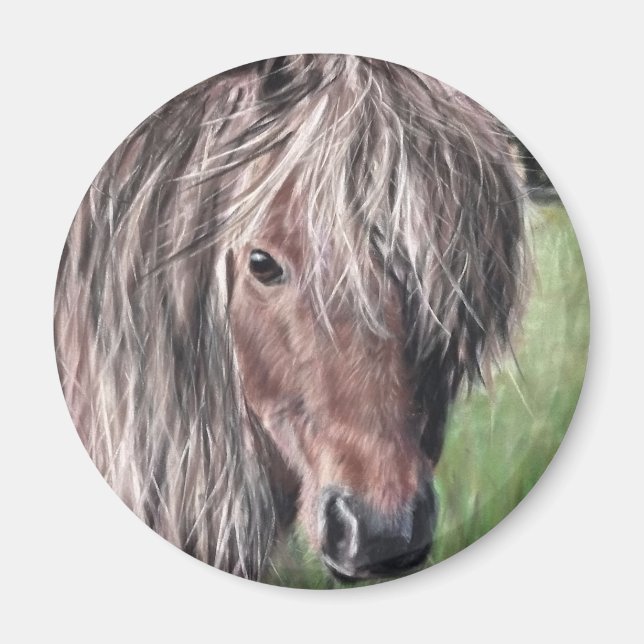 Aimant Pony de Shetland mignon (Devant)