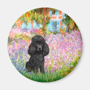 Aimant Poodle (noir 1) - Jardin
