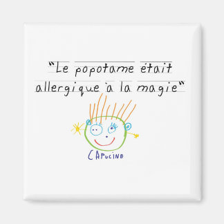 Aimant Popotame