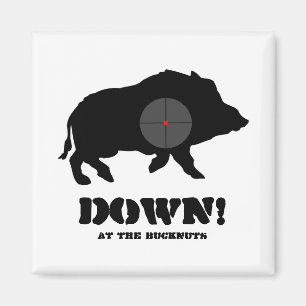 Aimant - porc noir vers le bas ! , Chez le