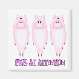 Aimant Porcs à l'aimant d'attention