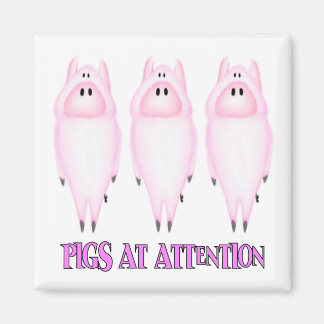 Aimant Porcs à l'aimant d'attention