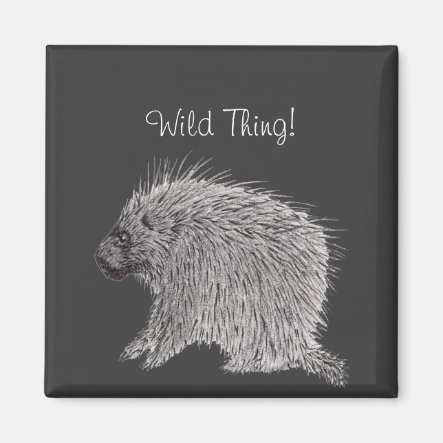 Aimant Porcupine (Devant)
