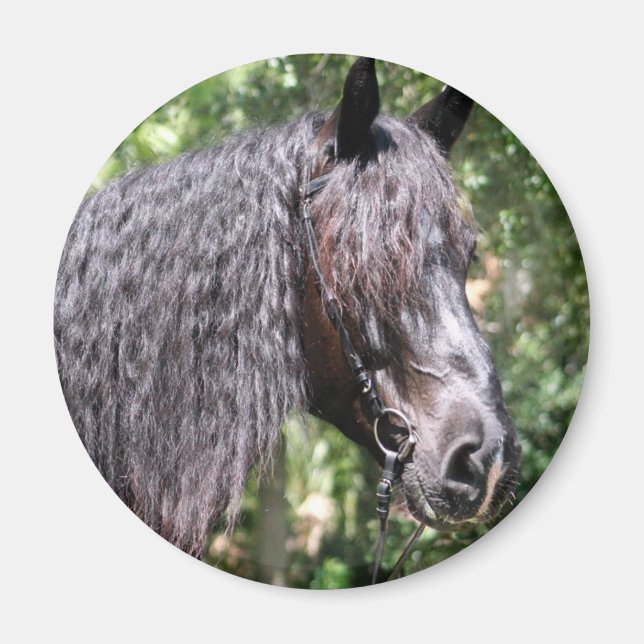 Aimant Portrait (Devant)