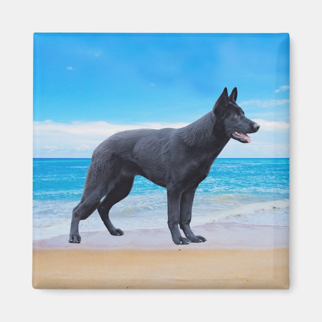 Aimant Portrait allemand Shepherd Dog Beach (Devant)