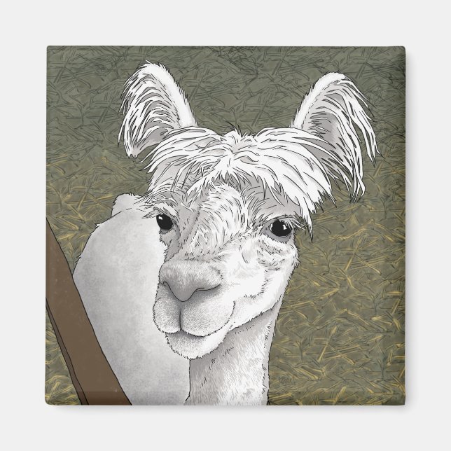 Aimant Portrait Alpaca 2 (Devant)