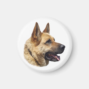 Aimant Portrait d'Alsatian German shepherd