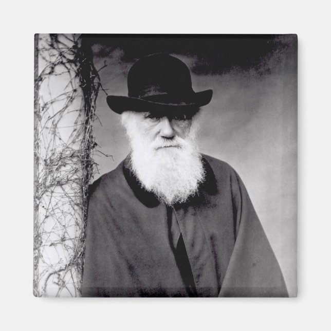 Aimant Portrait de Charles Darwin 1881 (Devant)