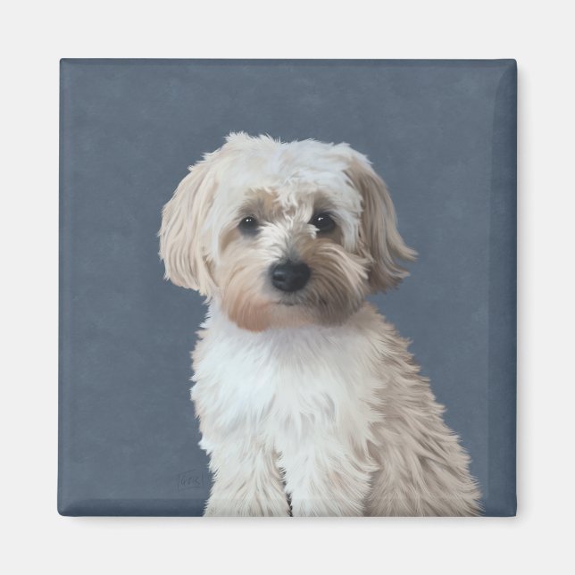Aimant Portrait de chien de Shorkie (Devant)