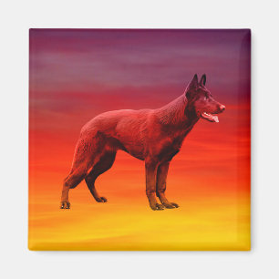 Aimant Portrait de la plage de Chien noir allemand Shephe