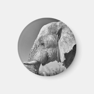 Aimant Portrait d'éléphant