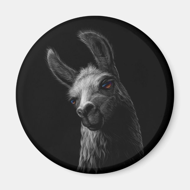 Aimant Portrait Head Cute Llama avec un Arrière - plan no (Devant)